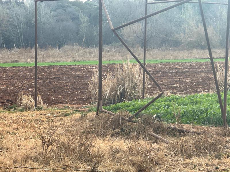 0 Bedroom Property for Sale in Erasmia Gauteng