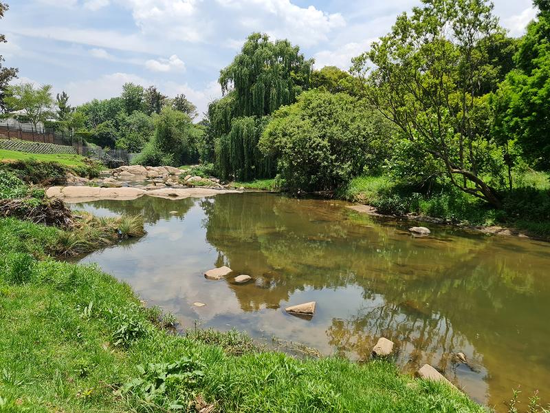 To Let 5 Bedroom Property for Rent in Edenburg Gauteng
