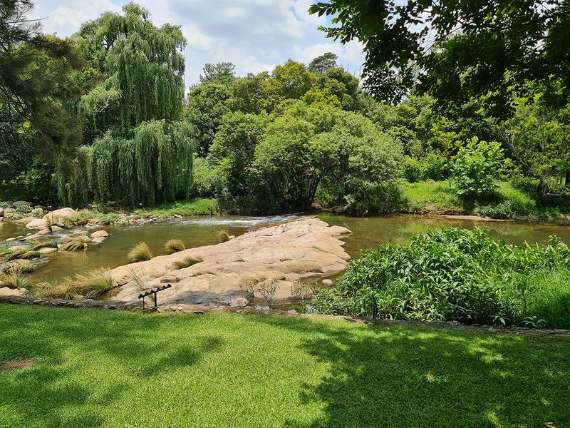 To Let 5 Bedroom Property for Rent in Edenburg Gauteng