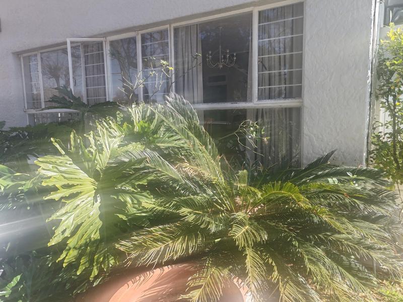 To Let 3 Bedroom Property for Rent in Sandringham Gauteng