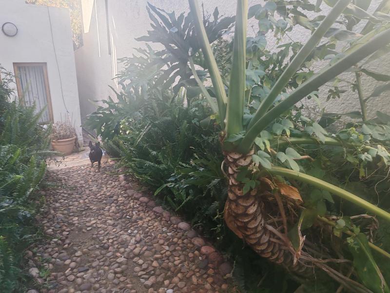To Let 3 Bedroom Property for Rent in Sandringham Gauteng