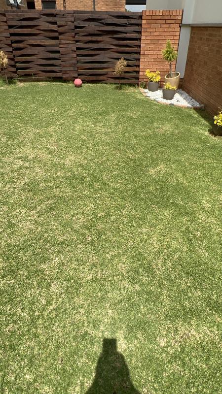 To Let 3 Bedroom Property for Rent in Equestria Gauteng