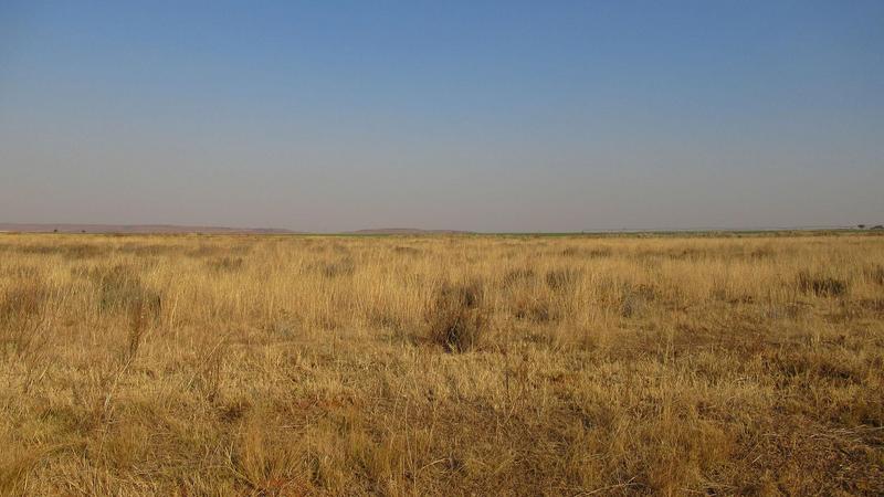 0 Bedroom Property for Sale in Westonaria Gauteng