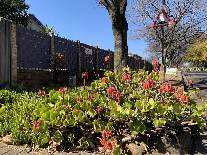 3 Bedroom Property for Sale in Cinderella Gauteng