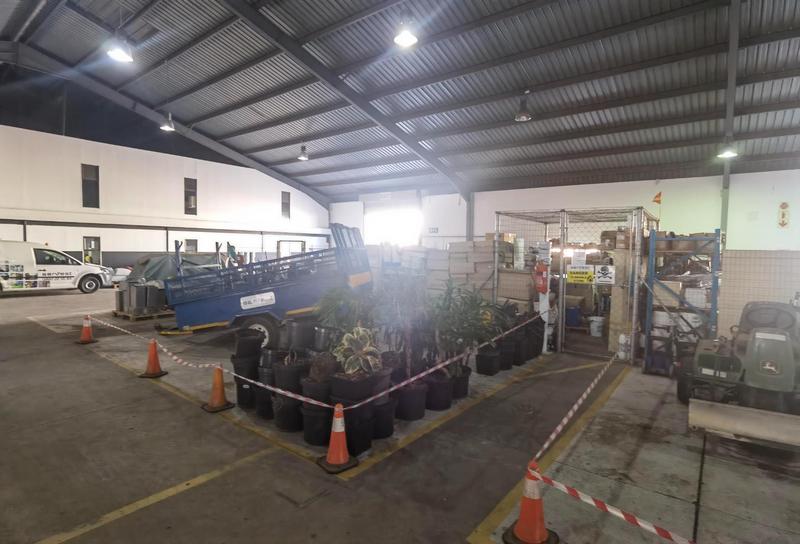 To Let commercial Property for Rent in Waltloo Gauteng