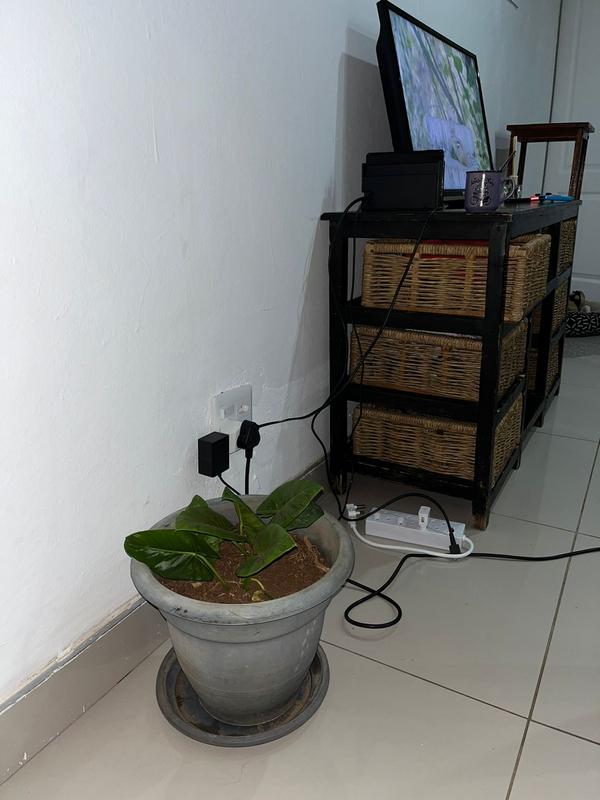 To Let 2 Bedroom Property for Rent in Erasmia Gauteng