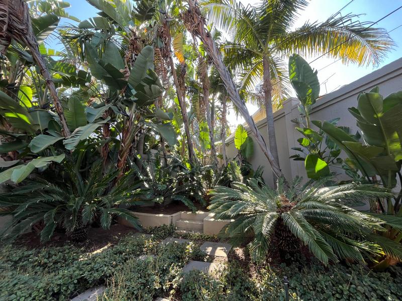 To Let 2 Bedroom Property for Rent in Waterkloof Ridge Gauteng