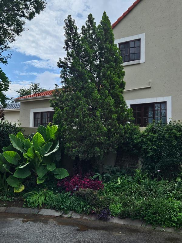To Let 4 Bedroom Property for Rent in Craigavon Gauteng