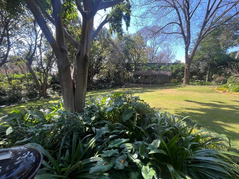 To Let 1 Bedroom Property for Rent in Waterkloof A H Gauteng