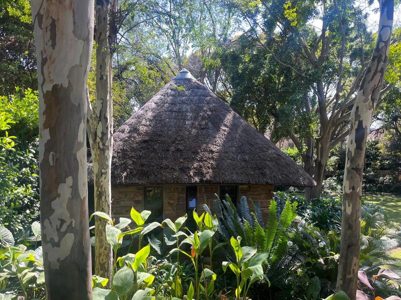 To Let 1 Bedroom Property for Rent in Waterkloof A H Gauteng