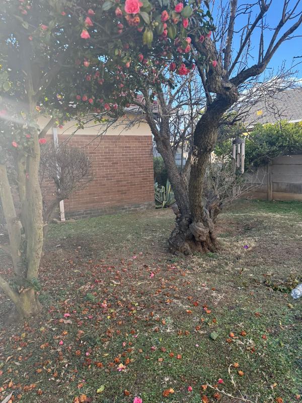 To Let 3 Bedroom Property for Rent in Robertsham Gauteng
