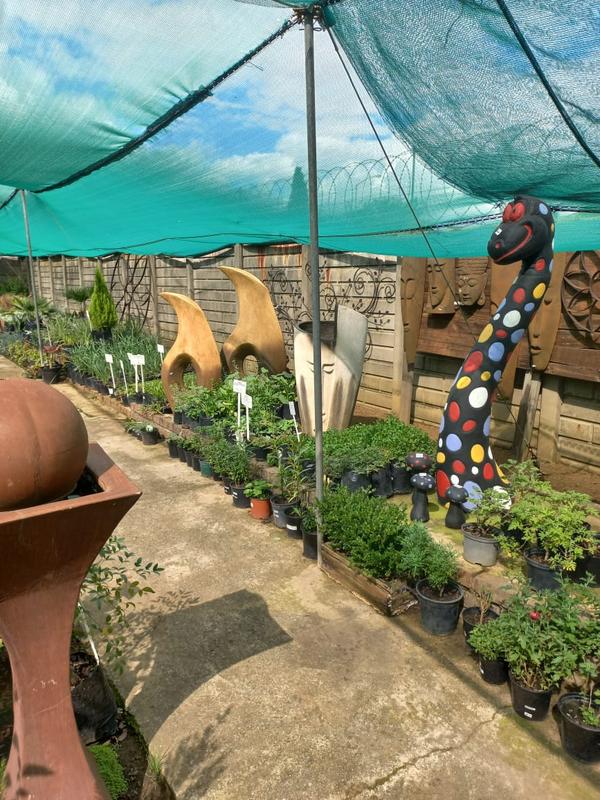 Commercial Property for Sale in Ferryvale Gauteng
