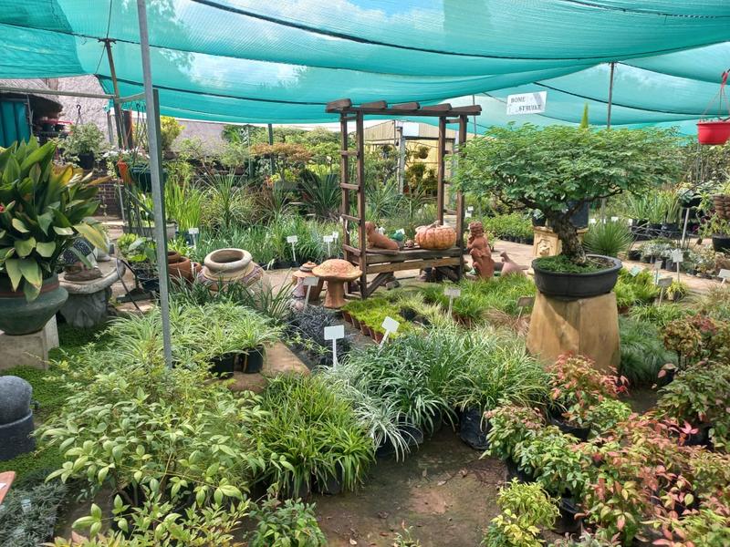 Commercial Property for Sale in Ferryvale Gauteng
