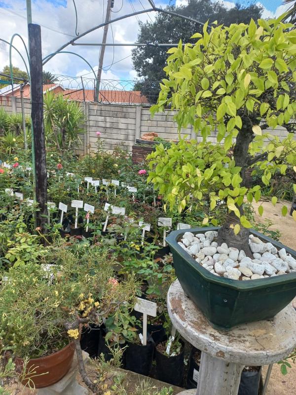 Commercial Property for Sale in Ferryvale Gauteng