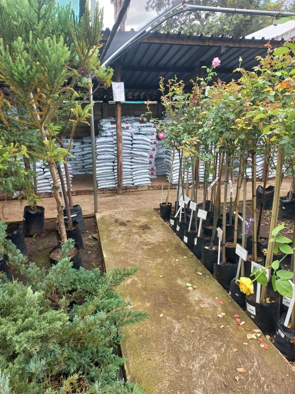 Commercial Property for Sale in Ferryvale Gauteng
