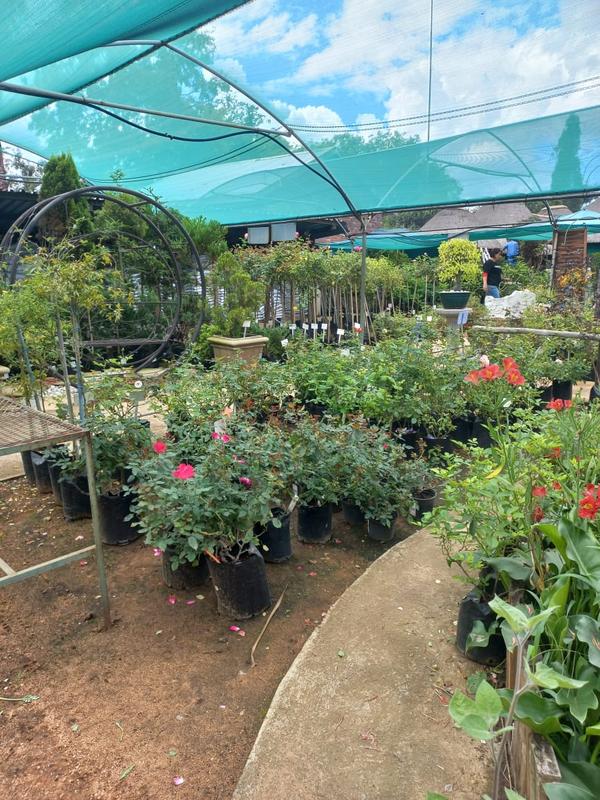 Commercial Property for Sale in Ferryvale Gauteng