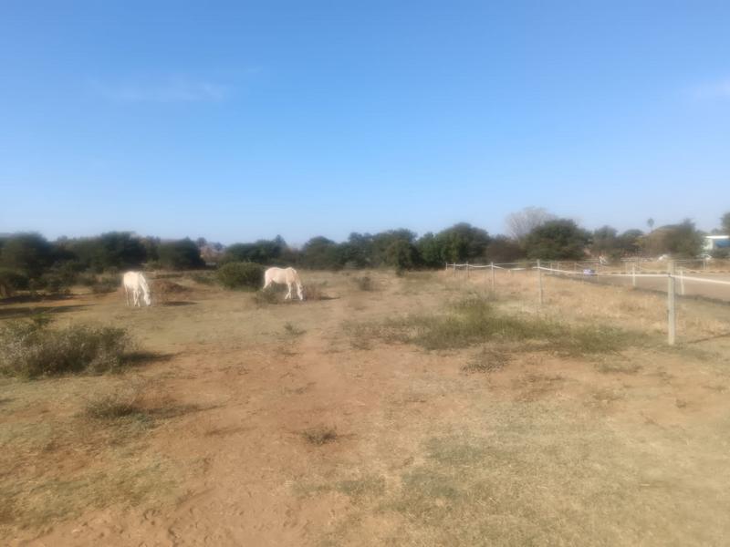 Commercial Property for Sale in Andeon Gauteng
