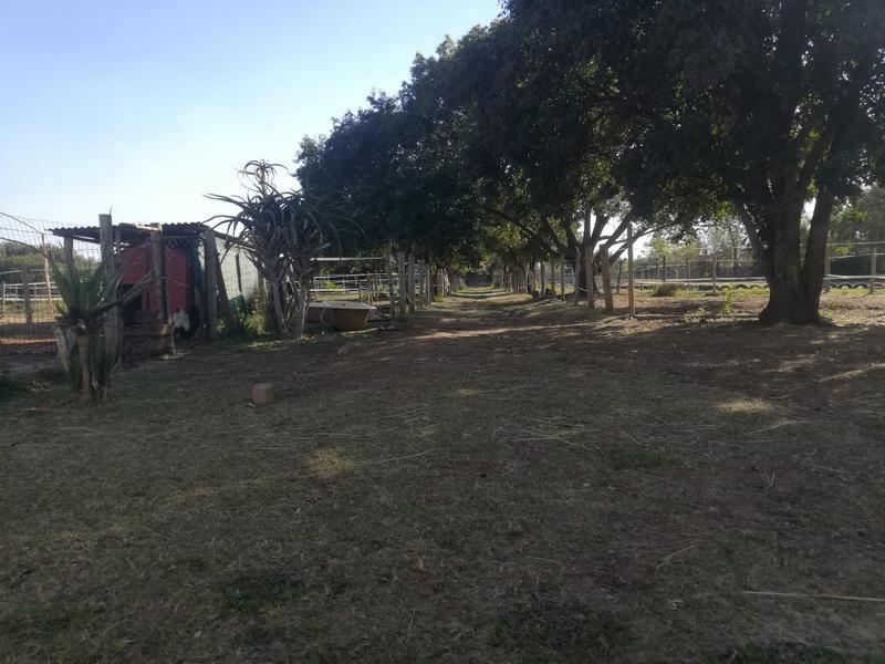 3 Bedroom Property for Sale in Andeon Gauteng