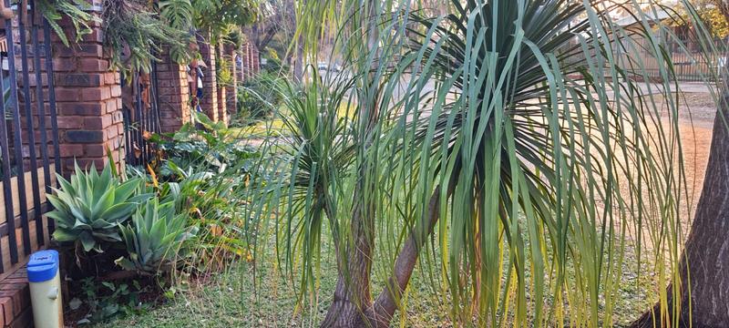 3 Bedroom Property for Sale in Danville Gauteng