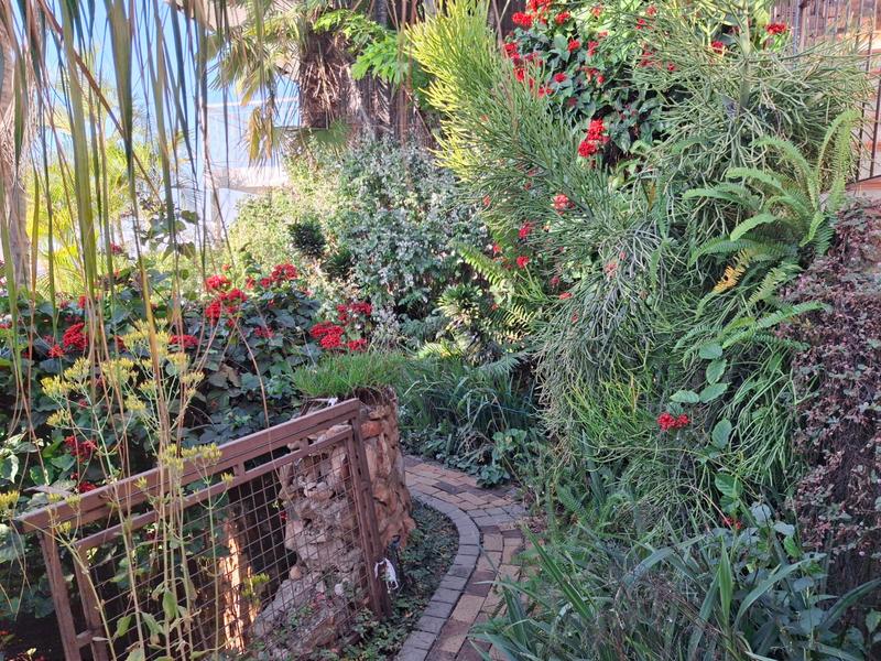 3 Bedroom Property for Sale in Pretoria North Gauteng