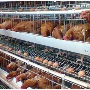Commercial Property for Sale in Ardenwold Gauteng