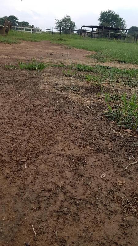3 Bedroom Property for Sale in Theoville Gauteng