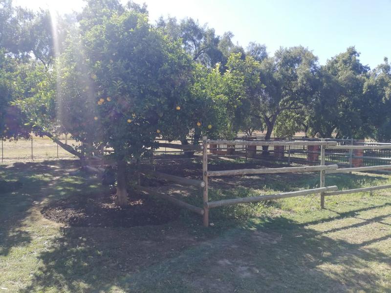 3 Bedroom Property for Sale in Kameeldrift West Gauteng