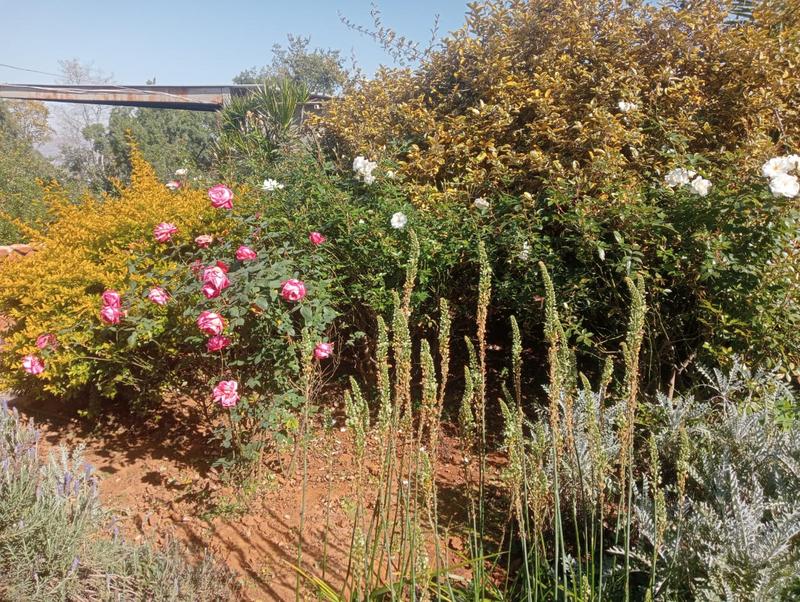 4 Bedroom Property for Sale in Kameeldrift West Gauteng