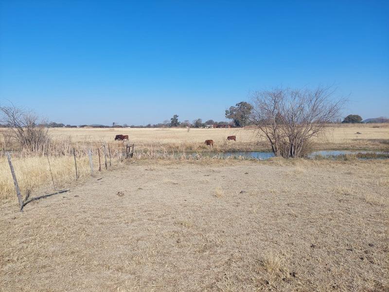 3 Bedroom Property for Sale in Haakdoornboom Gauteng