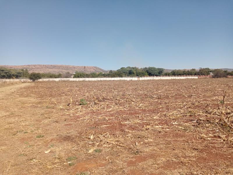 4 Bedroom Property for Sale in Swacina Park Gauteng