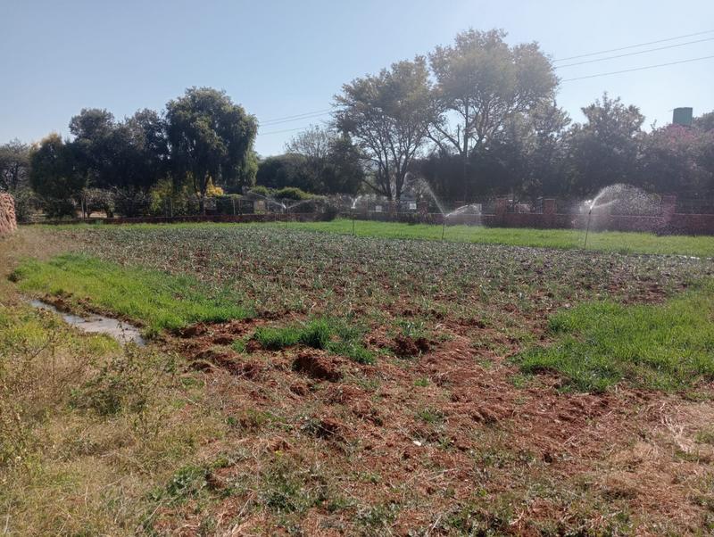 4 Bedroom Property for Sale in Swacina Park Gauteng