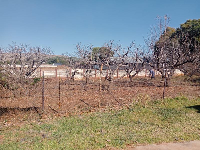 4 Bedroom Property for Sale in Swacina Park Gauteng