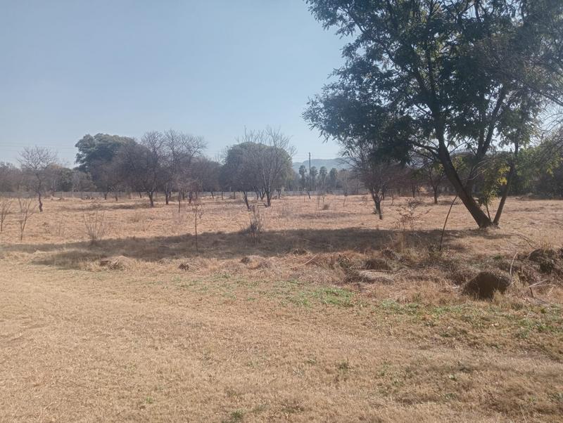 4 Bedroom Property for Sale in Swacina Park Gauteng