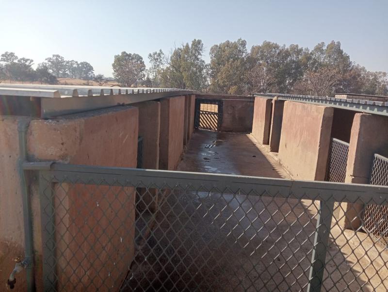 5 Bedroom Property for Sale in Swacina Park Gauteng