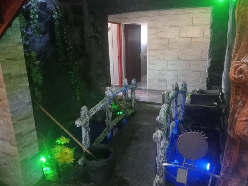 4 Bedroom Property for Sale in Swacina Park Gauteng