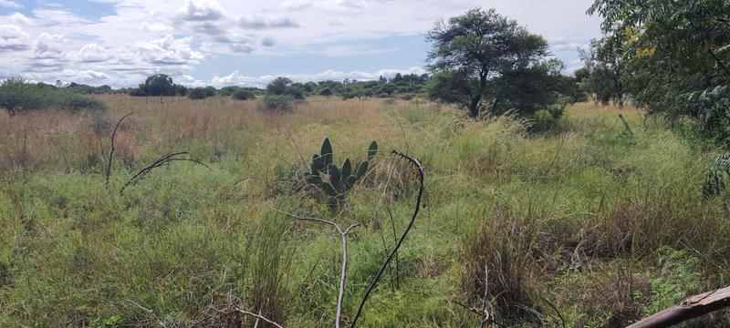 4 Bedroom Property for Sale in Rooiwal A H Gauteng