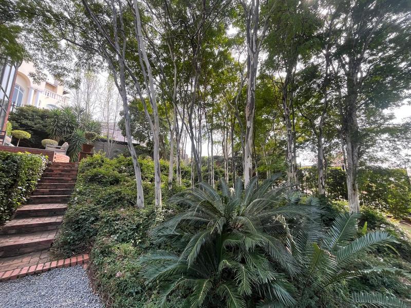 To Let 3 Bedroom Property for Rent in Waterkloof Ridge Gauteng