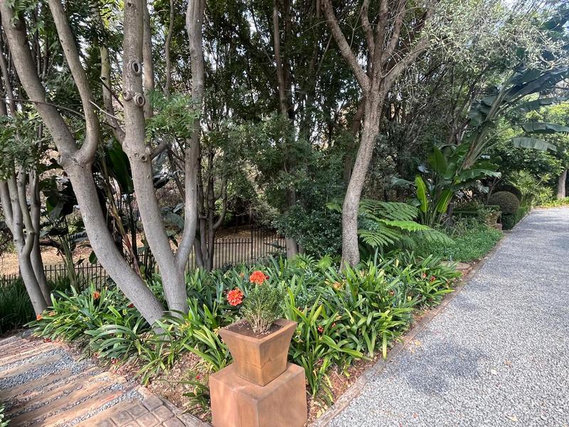 To Let 3 Bedroom Property for Rent in Waterkloof Ridge Gauteng