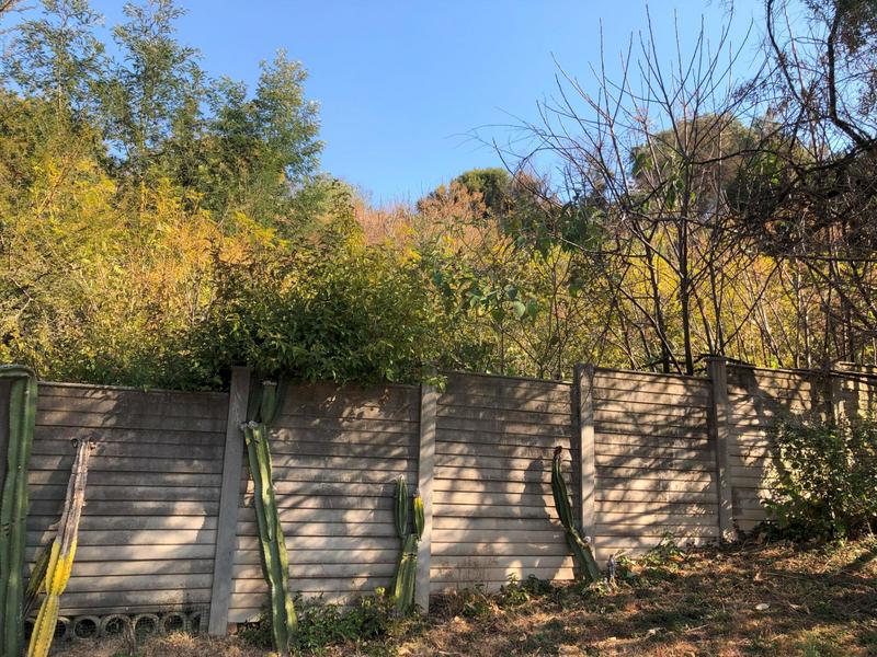 0 Bedroom Property for Sale in Constantia Kloof Gauteng