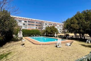 To Let 2 Bedroom Property for Rent in Johannesburg Gauteng