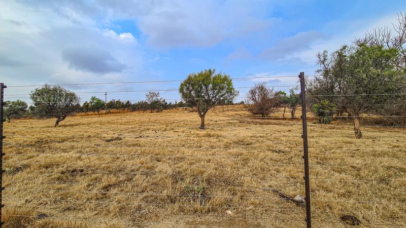 4 Bedroom Property for Sale in Rietfontein Gauteng