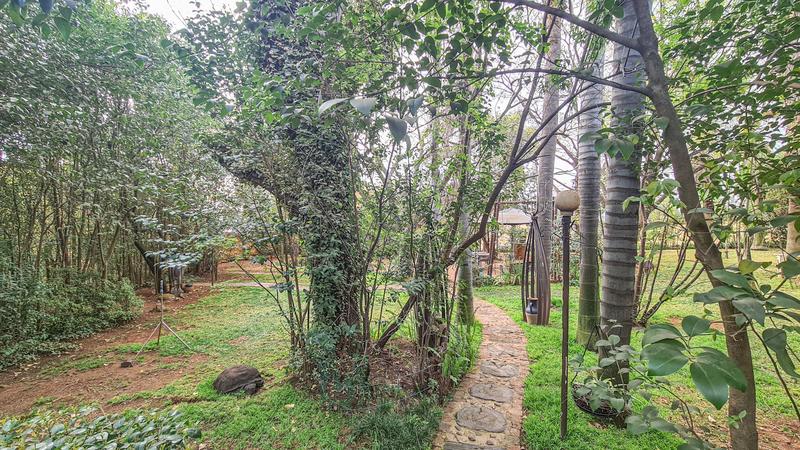4 Bedroom Property for Sale in Rietfontein Gauteng