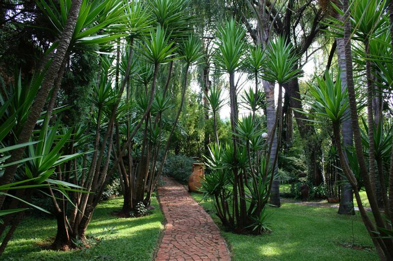 4 Bedroom Property for Sale in Rietfontein Gauteng