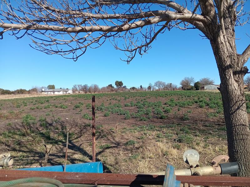 2 Bedroom Property for Sale in Rosashof Gauteng