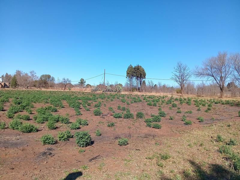 2 Bedroom Property for Sale in Rosashof Gauteng