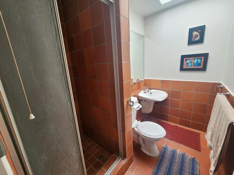 To Let 3 Bedroom Property for Rent in Muckleneuk Gauteng
