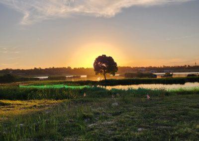 0 Bedroom Property for Sale in Rynfield Gauteng