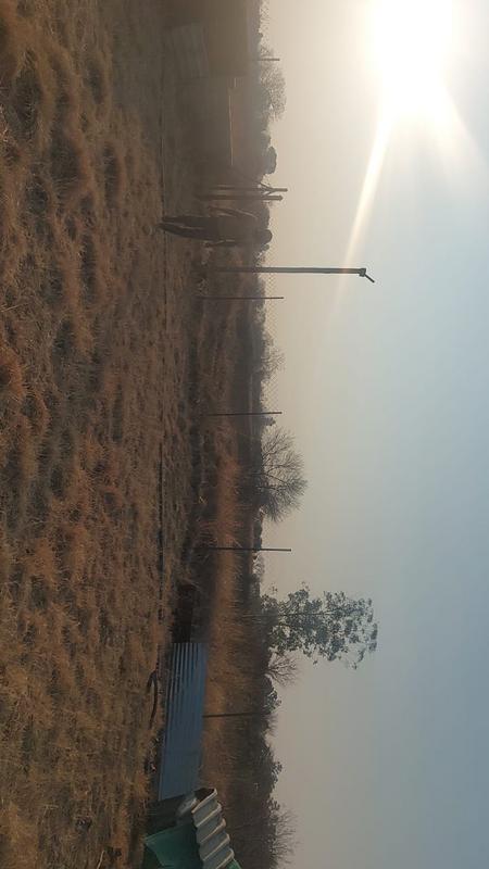 2 Bedroom Property for Sale in Haakdoornboom Gauteng