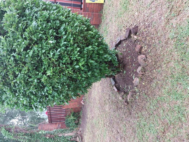 To Let 3 Bedroom Property for Rent in Kensington Gauteng