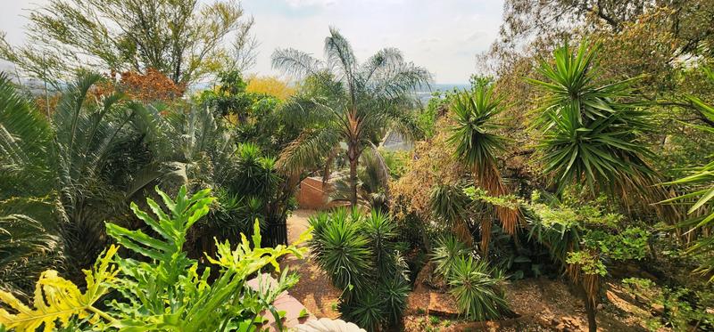 4 Bedroom Property for Sale in Pretoria North Gauteng